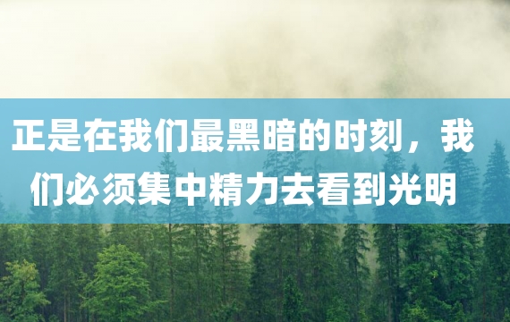 正是在我们最黑暗的时刻，我们必须集中精力去看到光明