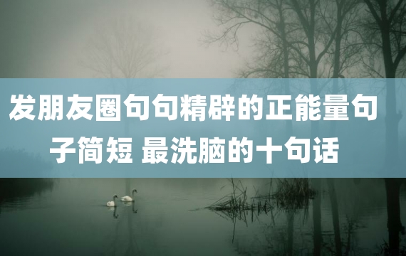 发朋友圈句句精辟的正能量句子简短 最洗脑的十句话