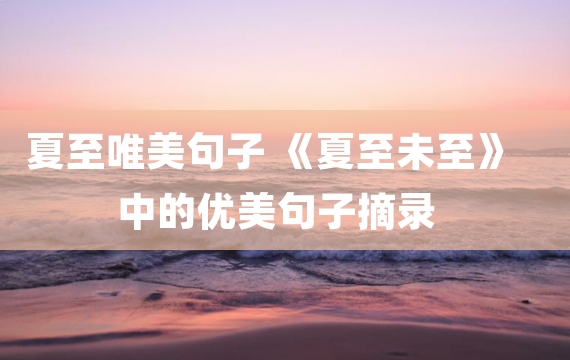 夏至唯美句子 《夏至未至》中的优美句子摘录