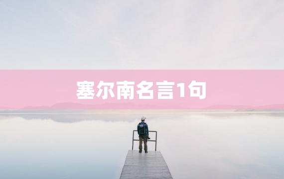 塞尔南名言1句