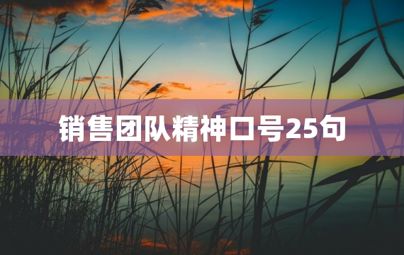 销售团队精神口号25句