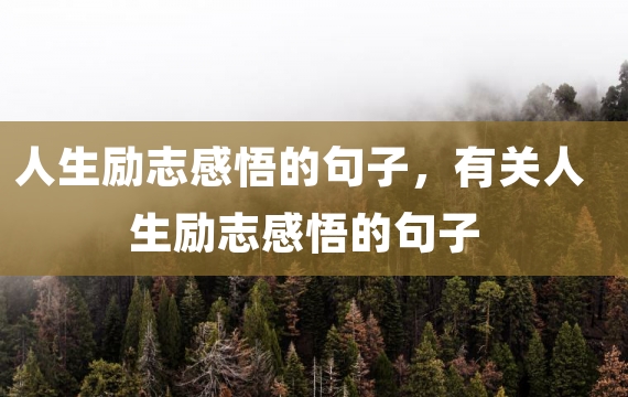 人生励志感悟的句子，有关人生励志感悟的句子