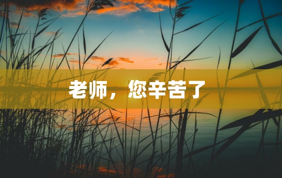 老师，您辛苦了