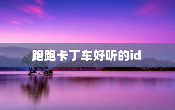 跑跑卡丁车好听的id