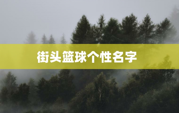 街头篮球个性名字