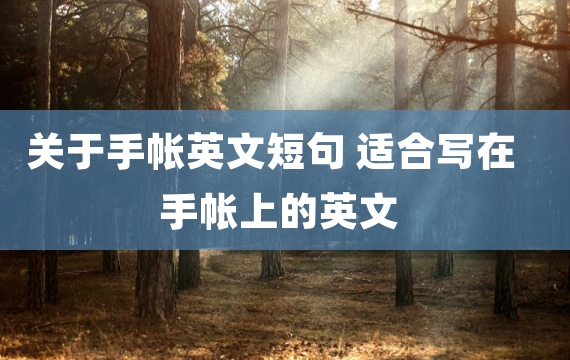 关于手帐英文短句 适合写在手帐上的英文