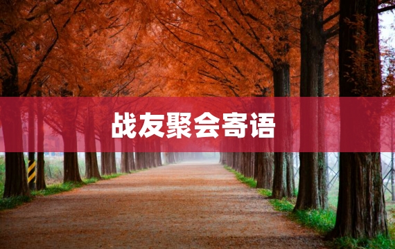 战友聚会寄语