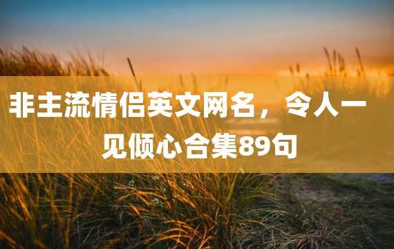 非主流情侣英文网名，令人一见倾心合集89句