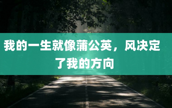 我的一生就像蒲公英，风决定了我的方向