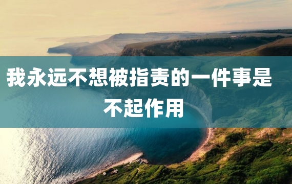 我永远不想被指责的一件事是不起作用