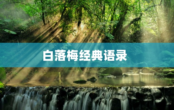 白落梅经典语录