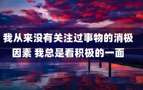 我从来没有关注过事物的消极因素 我总是看积极的一面