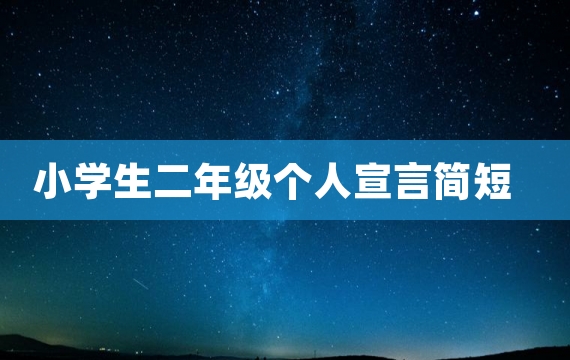 小学生二年级个人宣言简短