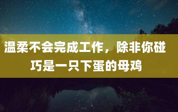 温柔不会完成工作，除非你碰巧是一只下蛋的母鸡