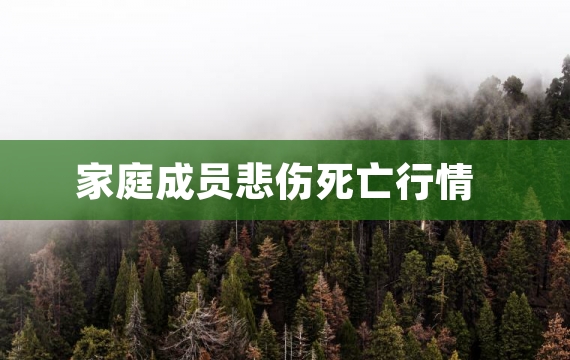 家庭成员悲伤死亡行情