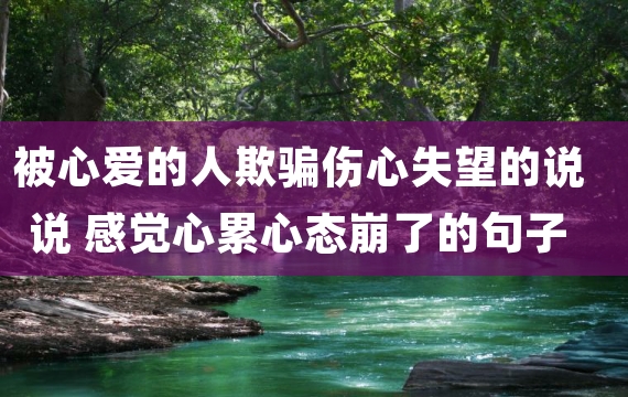 被心爱的人欺骗伤心失望的说说 感觉心累心态崩了的句子