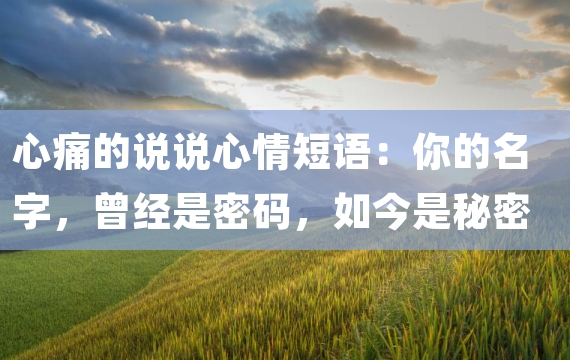 心痛的说说心情短语：你的名字，曾经是密码，如今是秘密