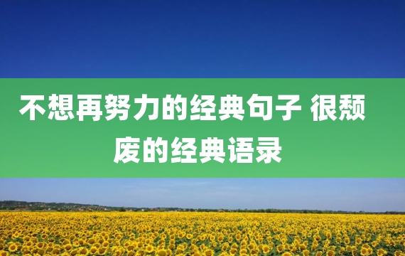 不想再努力的经典句子 很颓废的经典语录