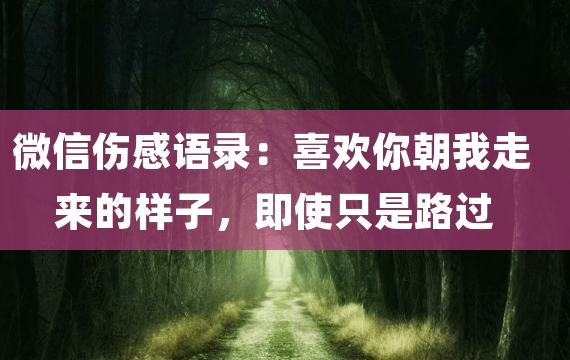 微信伤感语录：喜欢你朝我走来的样子，即使只是路过