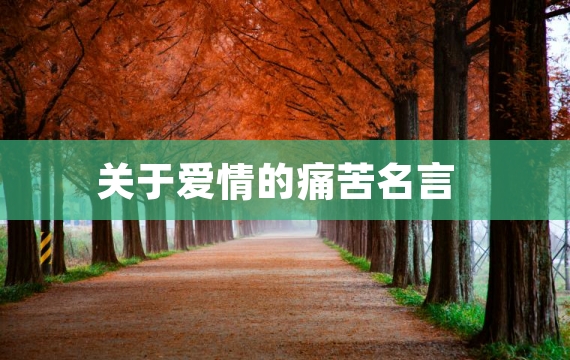 关于爱情的痛苦名言
