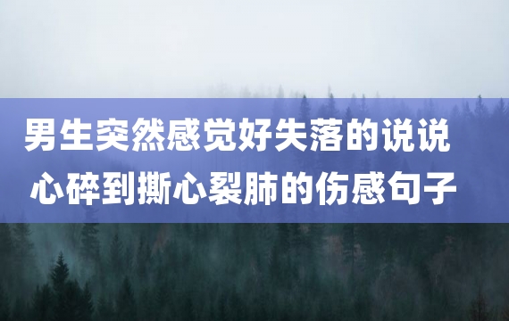 男生突然感觉好失落的说说 心碎到撕心裂肺的伤感句子