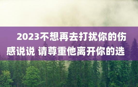 2023不想再去打扰你的伤感说说 请尊重他离开你的选择