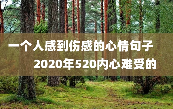 一个人感到伤感的心情句子 2020年520内心难受的说说