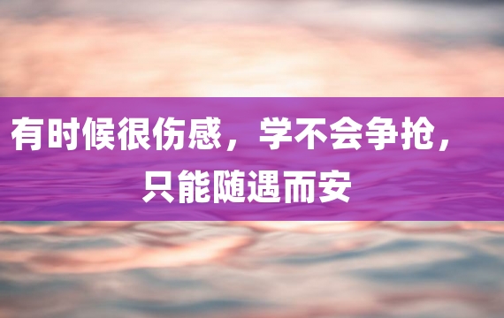 有时候很伤感，学不会争抢，只能随遇而安