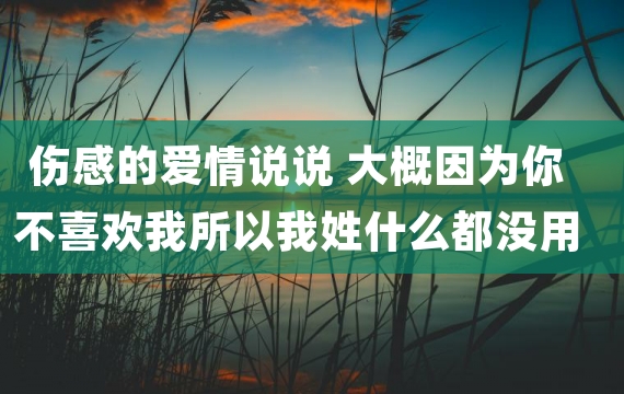 伤感的爱情说说 大概因为你不喜欢我所以我姓什么都没用