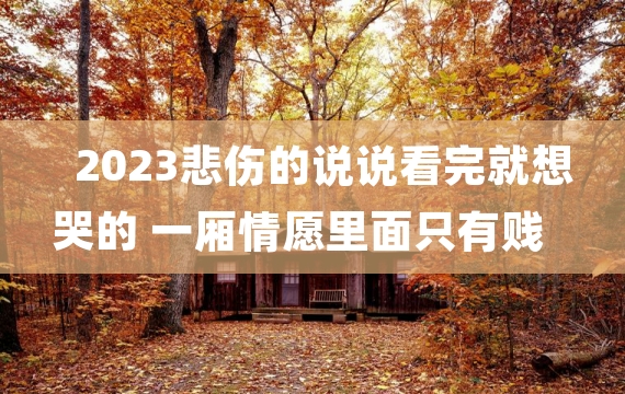 2023悲伤的说说看完就想哭的 一厢情愿里面只有贱