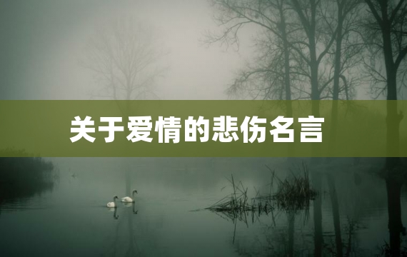 关于爱情的悲伤名言