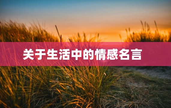 关于生活中的情感名言
