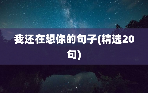 我还在想你的句子(精选20句)