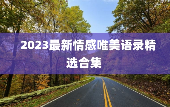 2023最新情感唯美语录精选合集