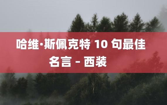 哈维·斯佩克特 10 句最佳名言 – 西装