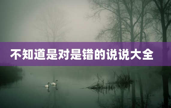 不知道是对是错的说说大全