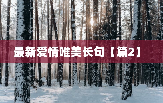 最新爱情唯美长句【篇2】
