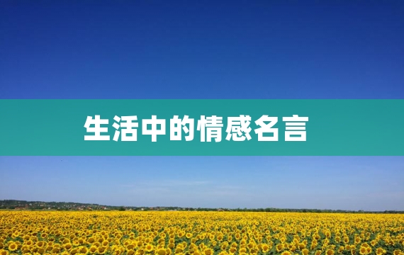 生活中的情感名言